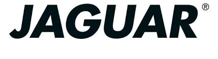 jaguar BiH